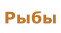 Рыбы